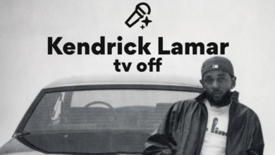 tv off lyrics meaning